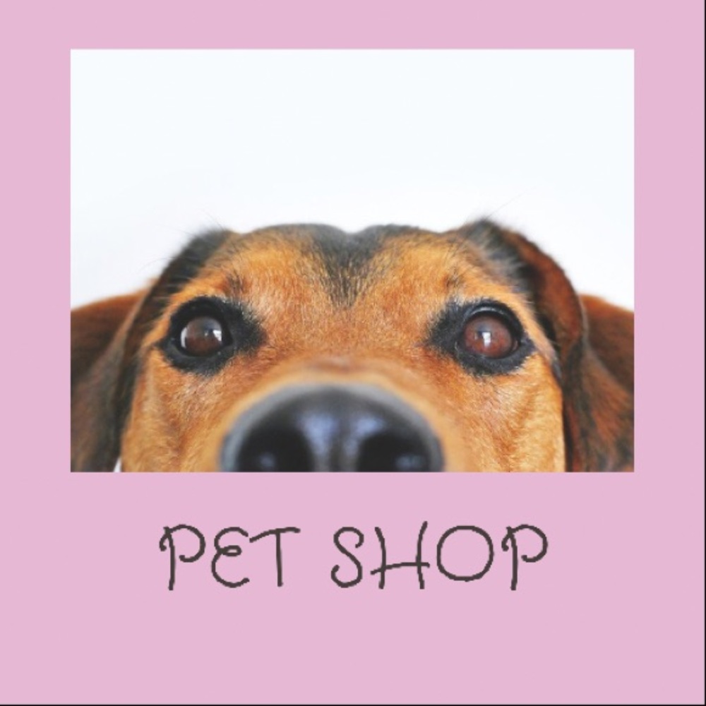 Pet Accessories